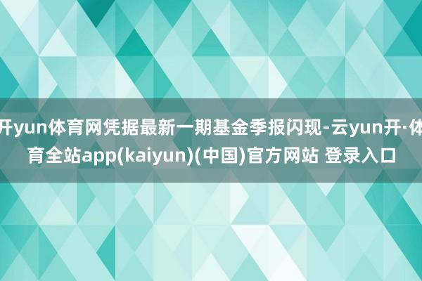 开yun体育网凭据最新一期基金季报闪现-云yun开·体育全站app(kaiyun)(中国)官方网站 登录入口