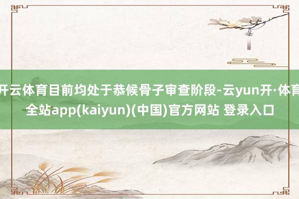 开云体育目前均处于恭候骨子审查阶段-云yun开·体育全站app(kaiyun)(中国)官方网站 登录入口